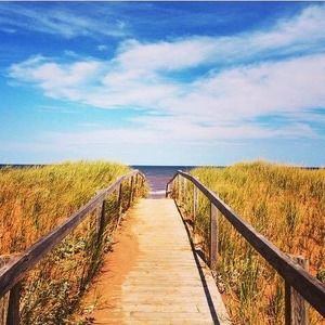 Meet your Posher, Kari